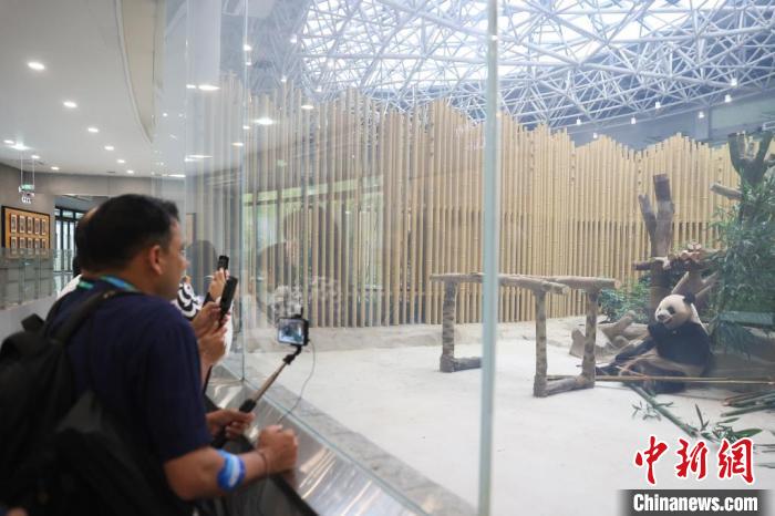 成都大运会主媒体中心成国际记者文化交流新平